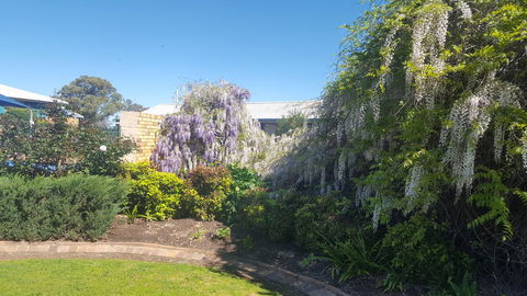 Almond Inn - Accommodation Mermaid Beach 28