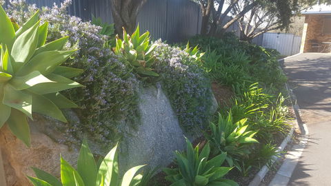 Almond Inn - Accommodation Mermaid Beach 27