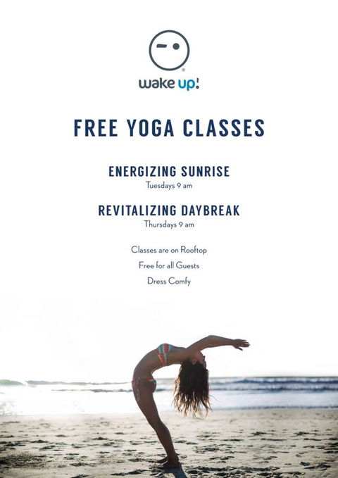 Wake Up! Bondi Beach - Accommodation Mermaid Beach 4