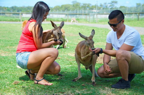 On The Beach Getaway - Accommodation Mermaid Beach 25