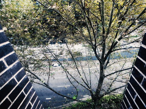 DD Apartments On Day - Accommodation Mermaid Beach 35