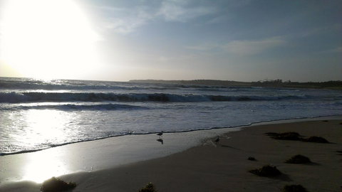 Sweet Spot Shellharbour - Accommodation Mermaid Beach 14