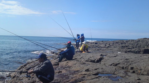 Sweet Spot Shellharbour - Accommodation Mermaid Beach 13