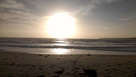Sweet Spot Shellharbour - Accommodation Mermaid Beach 16