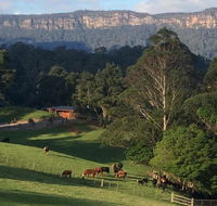 Amaroo Valley Springs - Accommodation Mermaid Beach