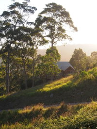 Book Bawley Point Accommodation Vacations Accommodation Mermaid Beach Accommodation Mermaid Beach
