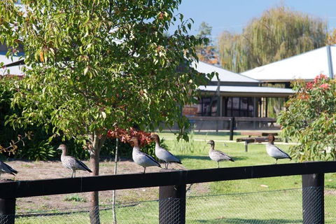 Potters Apartments - Accommodation Mermaid Beach 25