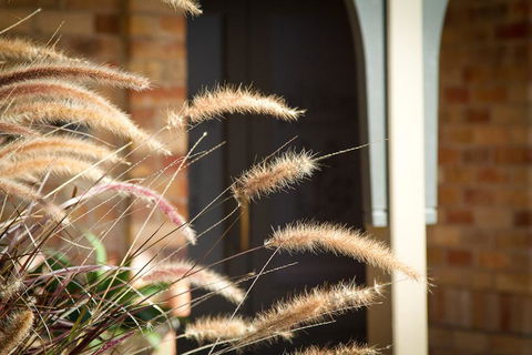 Potters Apartments - Accommodation Mermaid Beach 41