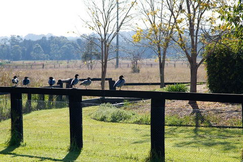 Potters Apartments - Accommodation Mermaid Beach 24