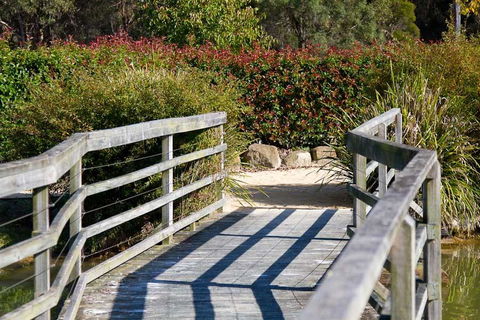 Potters Apartments - Accommodation Mermaid Beach 10