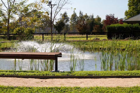 Potters Apartments - Accommodation Mermaid Beach 23