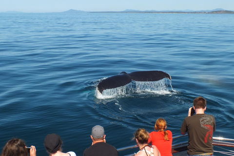 Pacific Marina Apartments - Accommodation Mermaid Beach 34