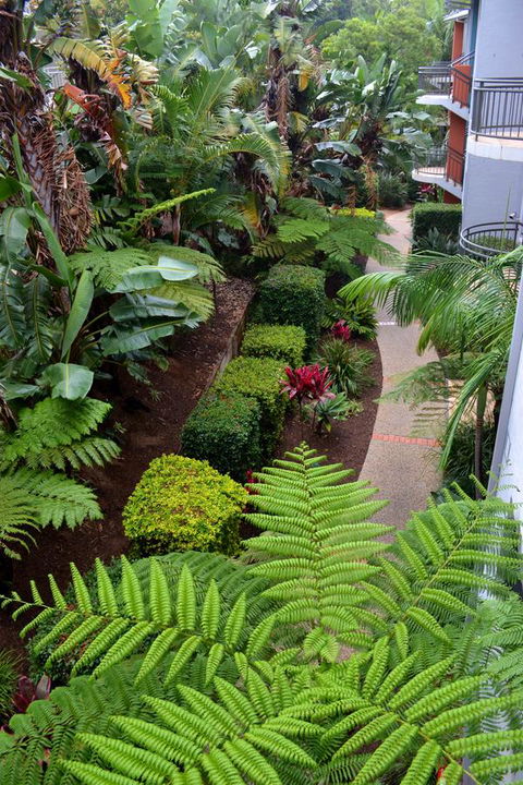 Flynns Beach Resort - Accommodation Mermaid Beach 17