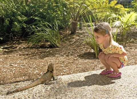 Flynns Beach Resort - Accommodation Mermaid Beach 16