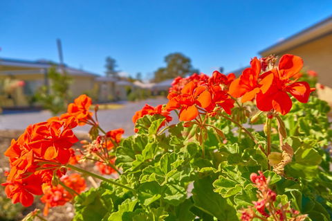 Hunter Oasis - Accommodation Mermaid Beach 42