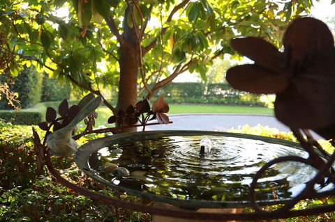 Peppers The Hills Lodge - Accommodation Mermaid Beach 30