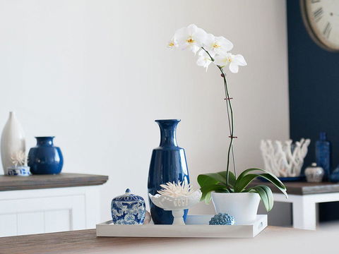 Blue View @ Fingal Bay - Accommodation Mermaid Beach 8