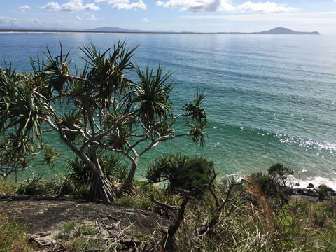 Hat Head Beach Cottage 1 - Accommodation Mermaid Beach 23