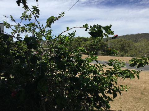 Hat Head Beach Cottage 1 - Accommodation Mermaid Beach 2