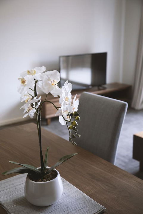 Quest Wagga Wagga - Accommodation Mermaid Beach 11