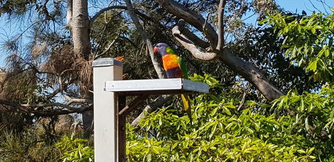 The Edgewater On Greville - Accommodation Mermaid Beach 15