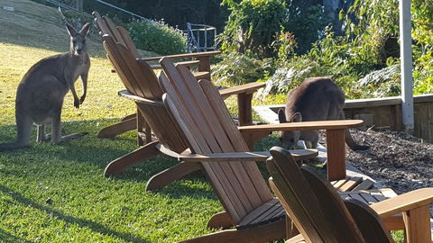 The Edgewater On Greville - Accommodation Mermaid Beach 18