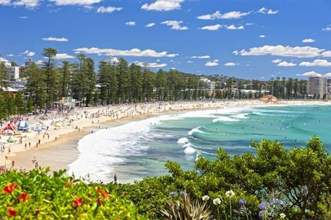 Oversized 2 Bedroom Manly Beach House - Accommodation Mermaid Beach 12