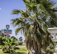 Allonville Gardens Motel - Accommodation Mermaid Beach