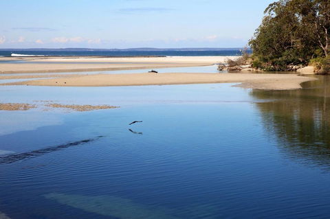 Jervis Bay Beach Shack I Pet Friendly - Accommodation Mermaid Beach 19