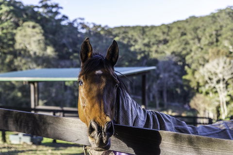 The Outlook Cabana - Accommodation Mermaid Beach 19