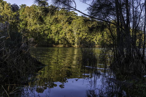 The Outlook Cabana - Accommodation Mermaid Beach 21
