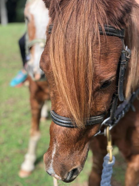 The Outlook Cabana - Accommodation Mermaid Beach 17