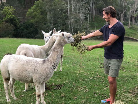 The Outlook Cabana - Accommodation Mermaid Beach 20