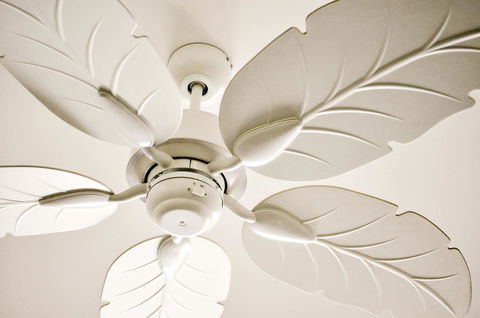 Cove Studios - Accommodation Mermaid Beach 33