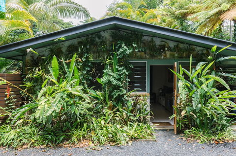 Sanctuary In The Pocket - Accommodation Mermaid Beach 15