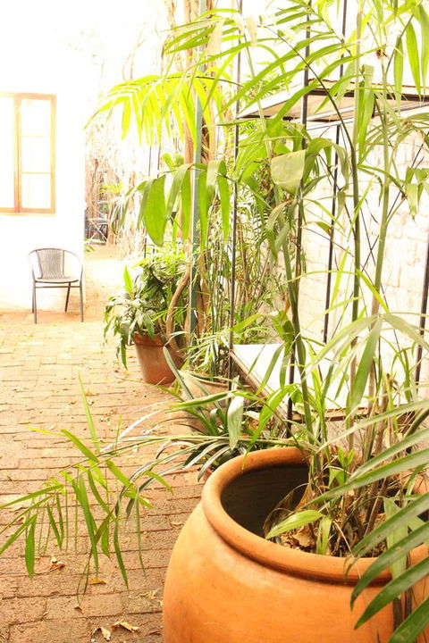 Newtown Cozy Stays - Accommodation Mermaid Beach 10