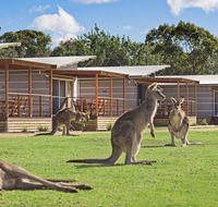 Discovery Parks  Pambula Beach - Accommodation Mermaid Beach