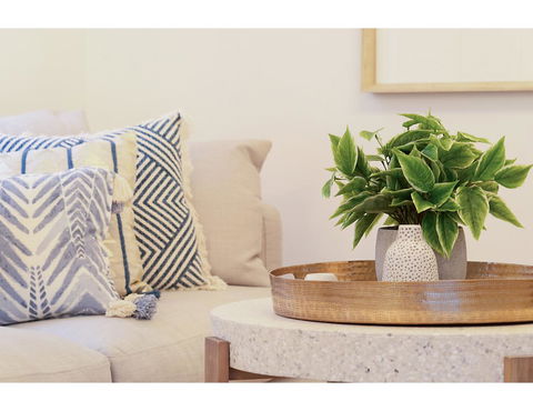 Huge Garden Apartment In The Heart Of Bondi Beach - Accommodation Mermaid Beach 16