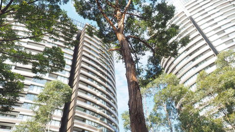 SkyGarden Sydney Olympic Park 3 & 4 Bedroom City View - Accommodation Mermaid Beach 33