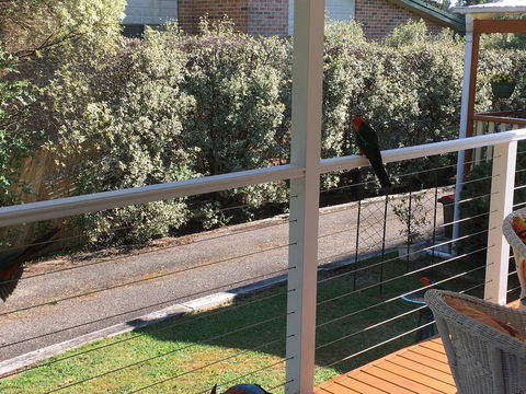 The Best Exotic Magnolia Cottage - Accommodation Mermaid Beach 15