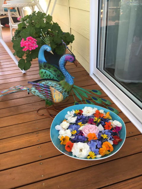 The Best Exotic Magnolia Cottage - Accommodation Mermaid Beach 8