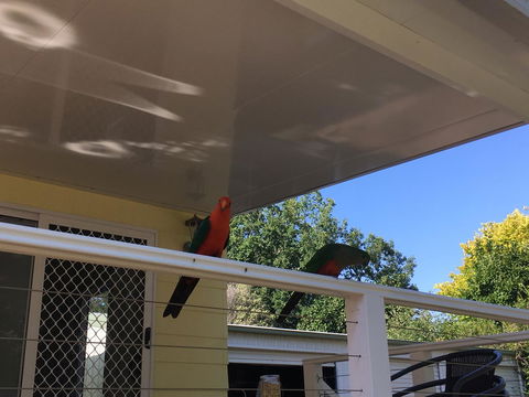 The Best Exotic Magnolia Cottage - Accommodation Mermaid Beach 11