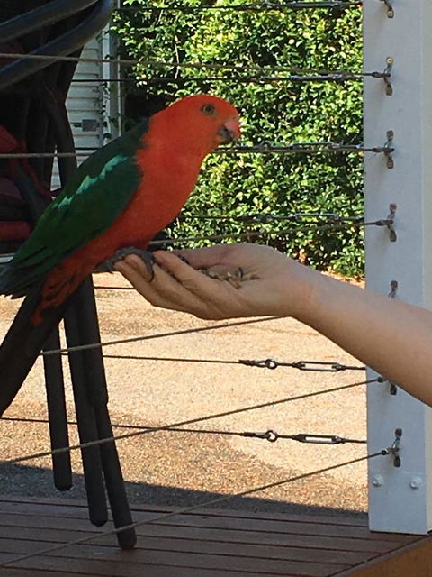 The Best Exotic Magnolia Cottage - Accommodation Mermaid Beach 13