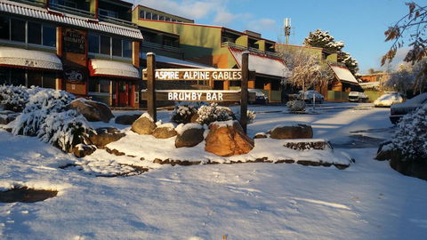 Alpine Gables - Accommodation Mermaid Beach 10