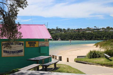 Beaches Apartments Merimbula - Accommodation Mermaid Beach 12