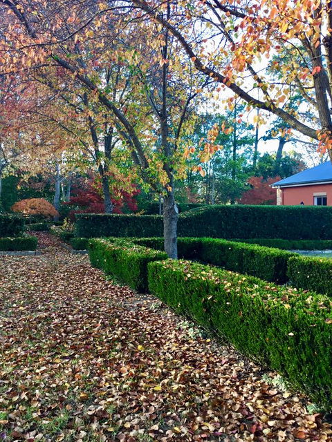 Chanticleer Gardens Barn Cottage With A Pool - Accommodation Mermaid Beach 37