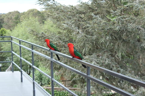 Bundanoon Lodge - Accommodation Mermaid Beach 7