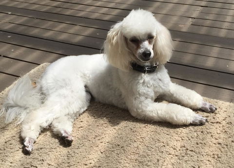 Bundanoon Lodge - Accommodation Mermaid Beach 14