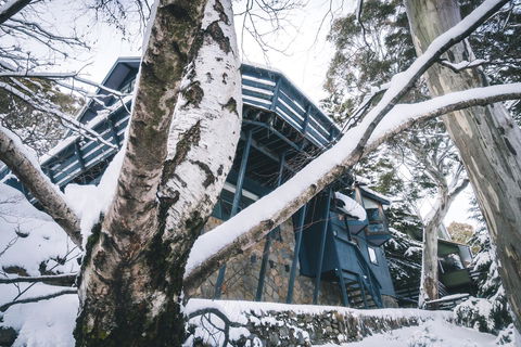 Pure Chalet Thredbo - Accommodation Mermaid Beach 21