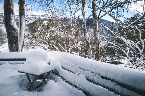 Pure Chalet Thredbo - Accommodation Mermaid Beach 19
